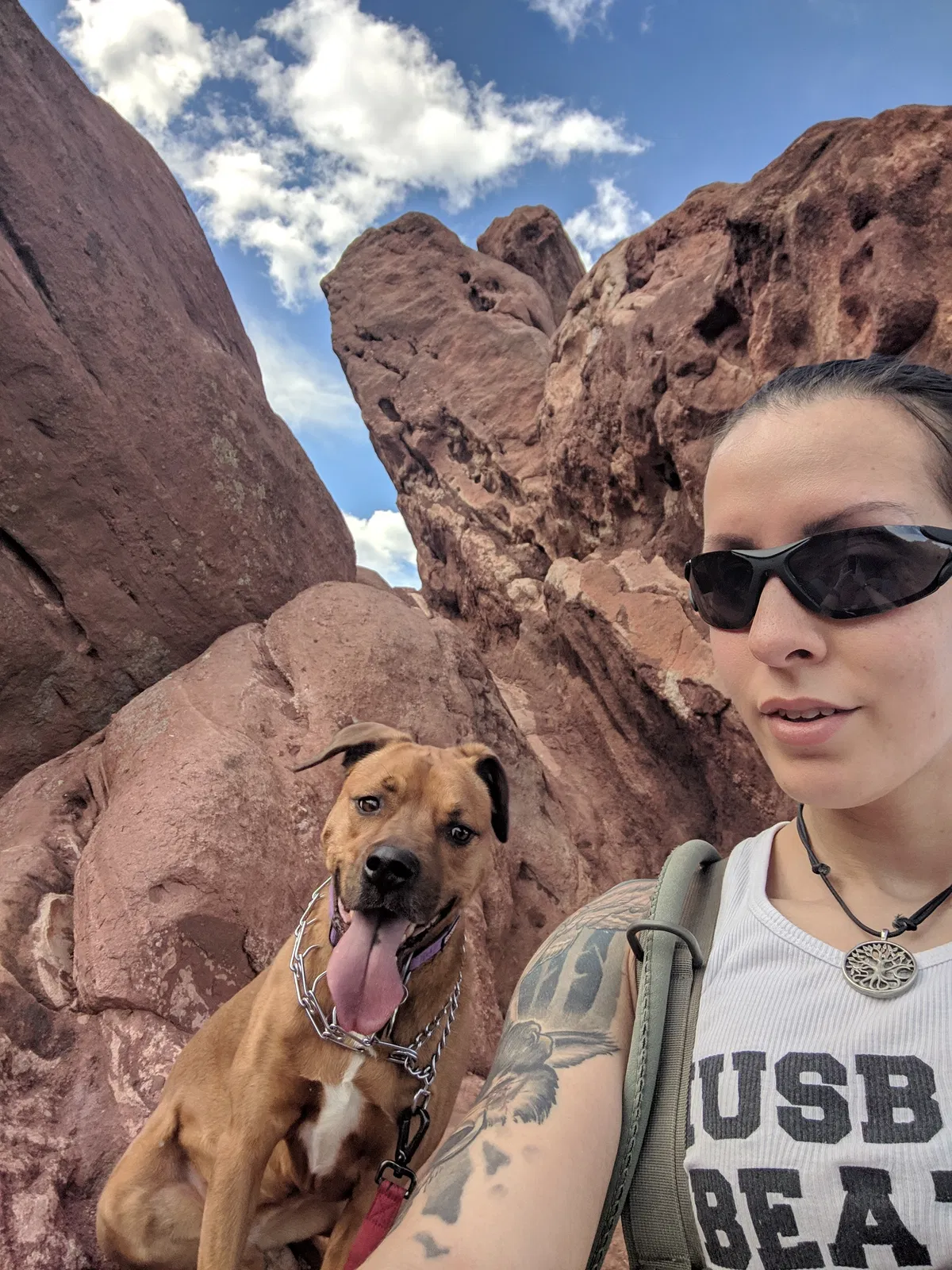 Lost dog in Colorado Springs, CO, 80907