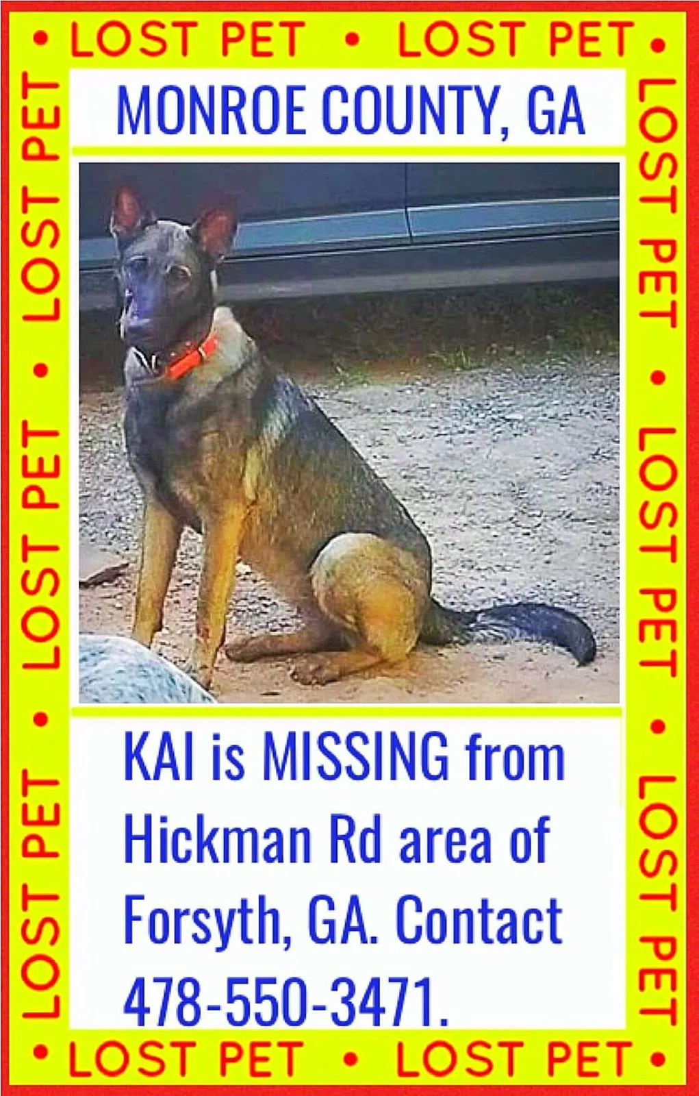 Lost dog in Forsyth, GA, 31029