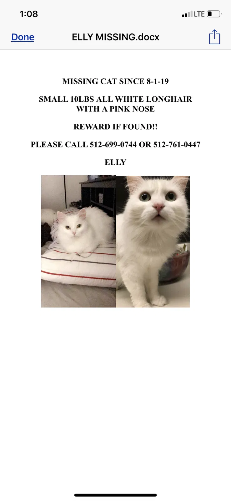 Lost cat in Oceanside, CA, 92058