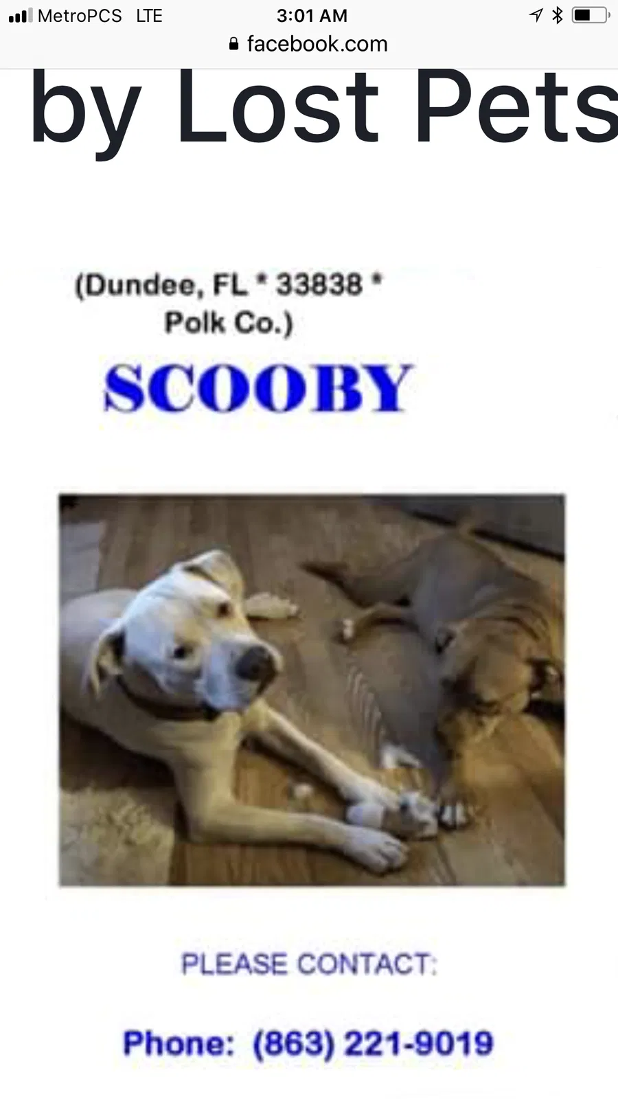 Lost dog in Unknown, FL, 34838