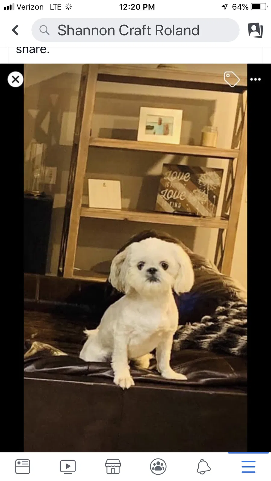 Lost dog in Anderson, SC, 29621