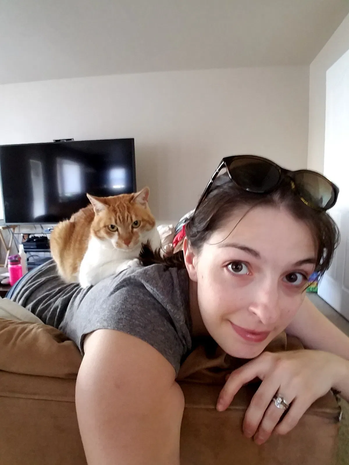 Lost cat in Colorado Springs, CO, 80911