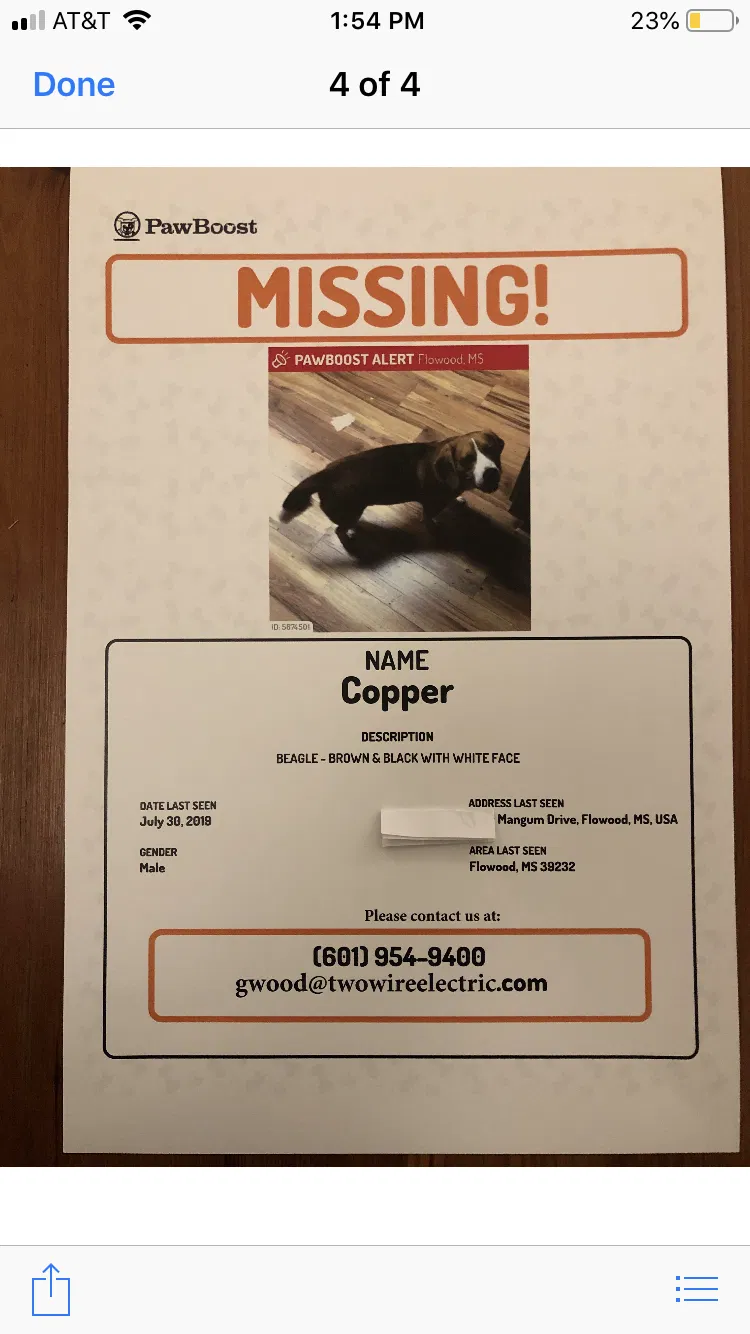 Lost dog in Flowood, MS, 39232