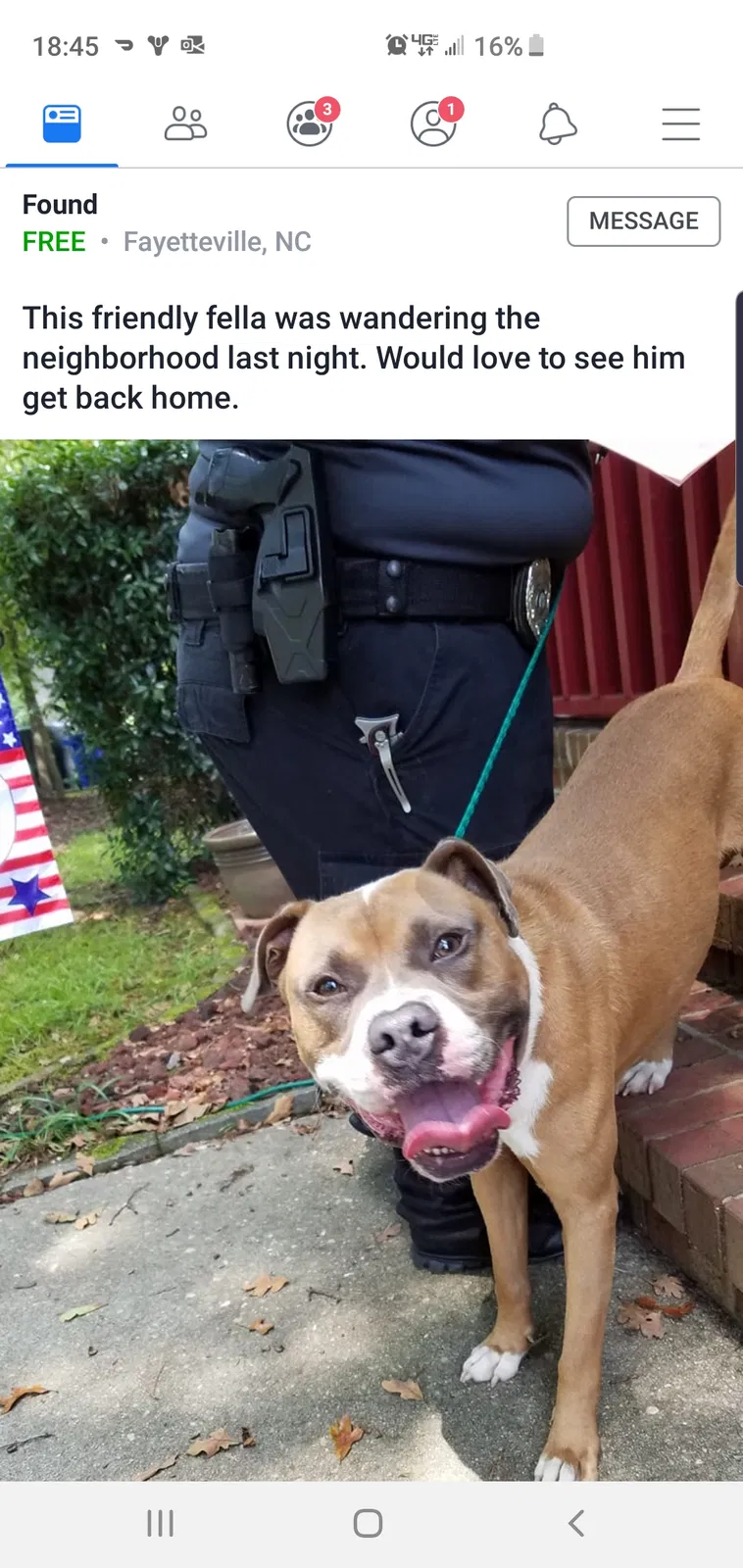 Found dog in Fayetteville, NC, 28314