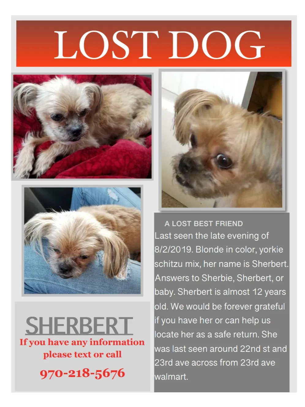 Lost dog in Greeley, CO, 80631