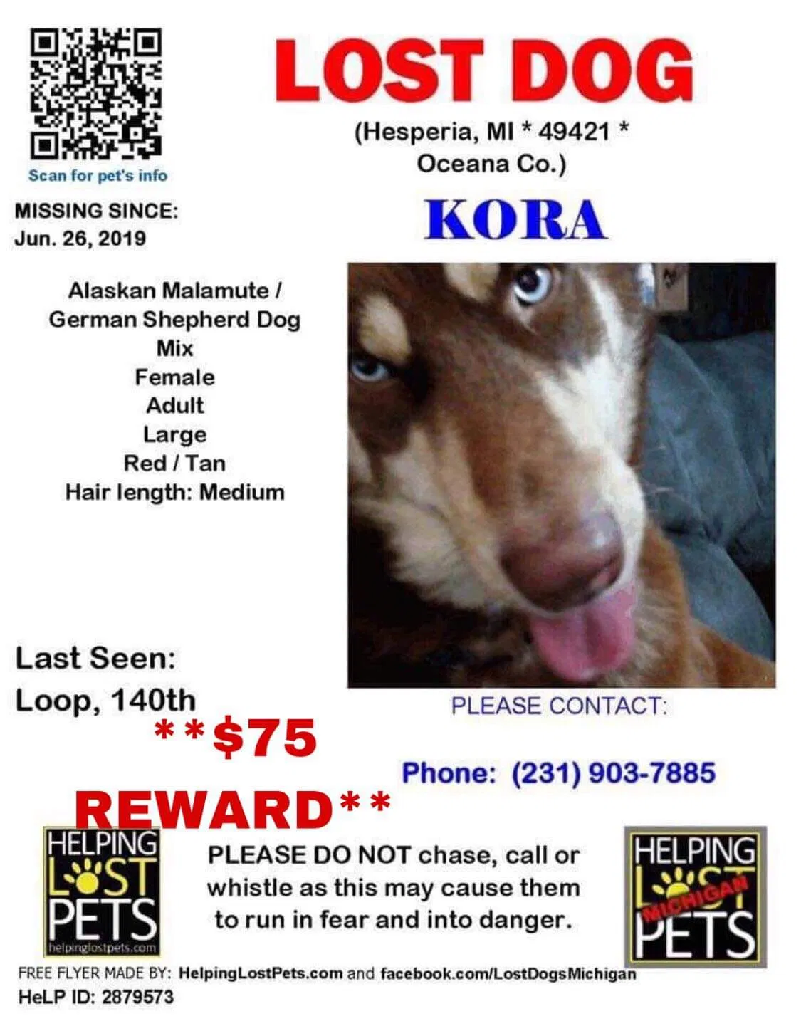 Lost dog in Hesperia, MI, 49421