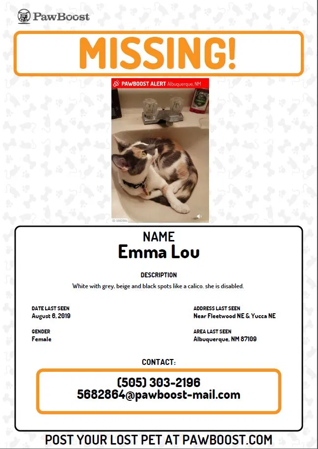 Lost cat in Albuquerque, NM, 87109