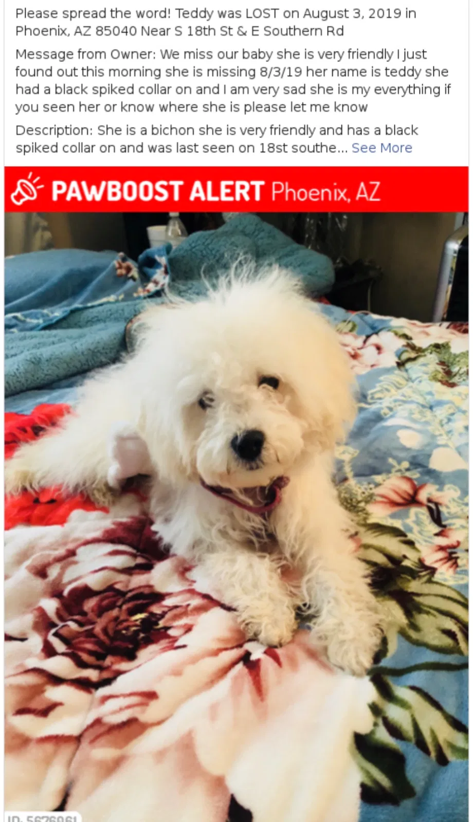 Lost dog in Phoenix, AZ, 85040