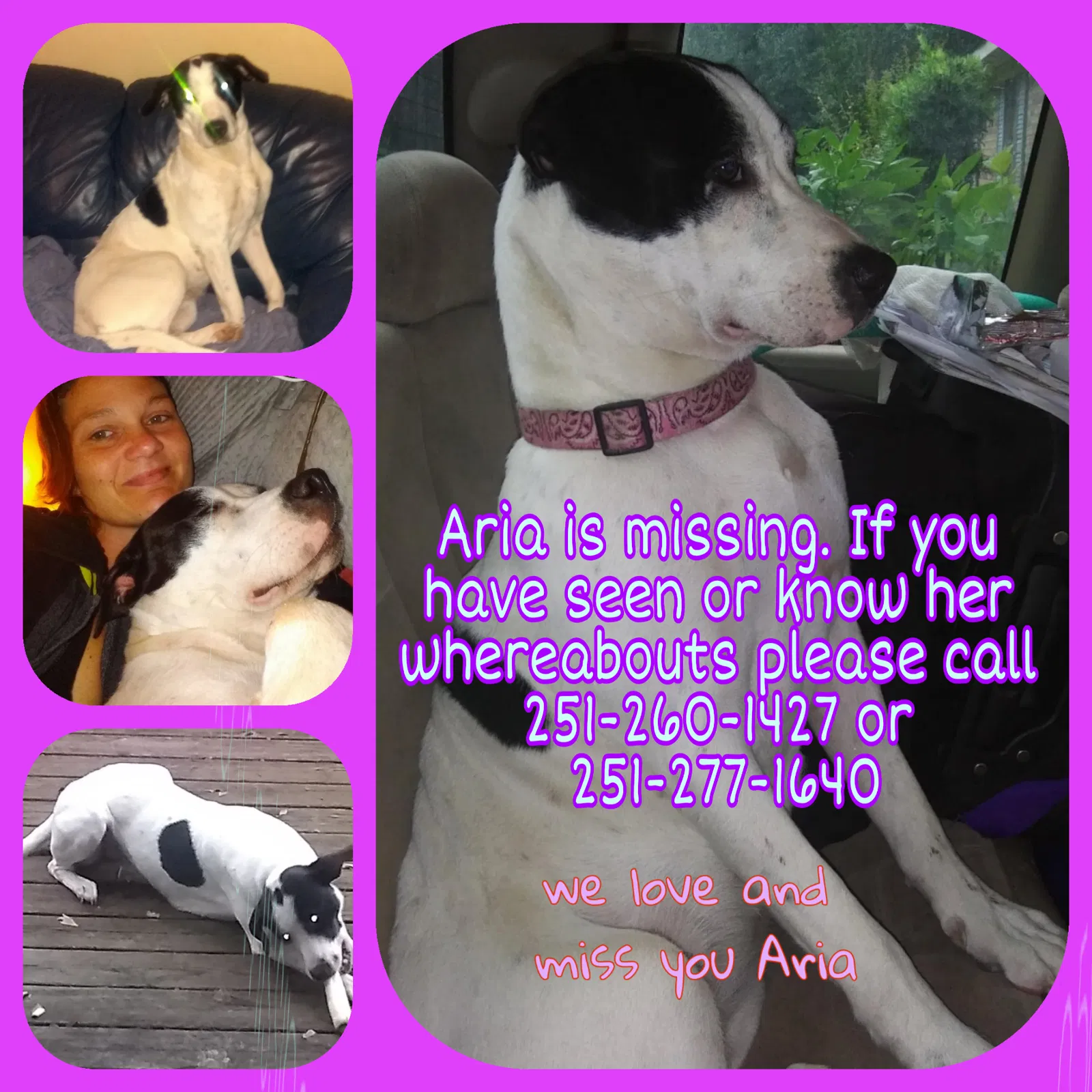 Lost dog in Mobile, AL, 36695