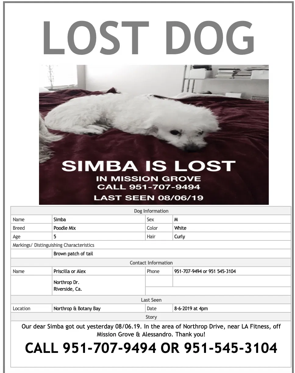 Lost dog in Riverside, CA, 92508
