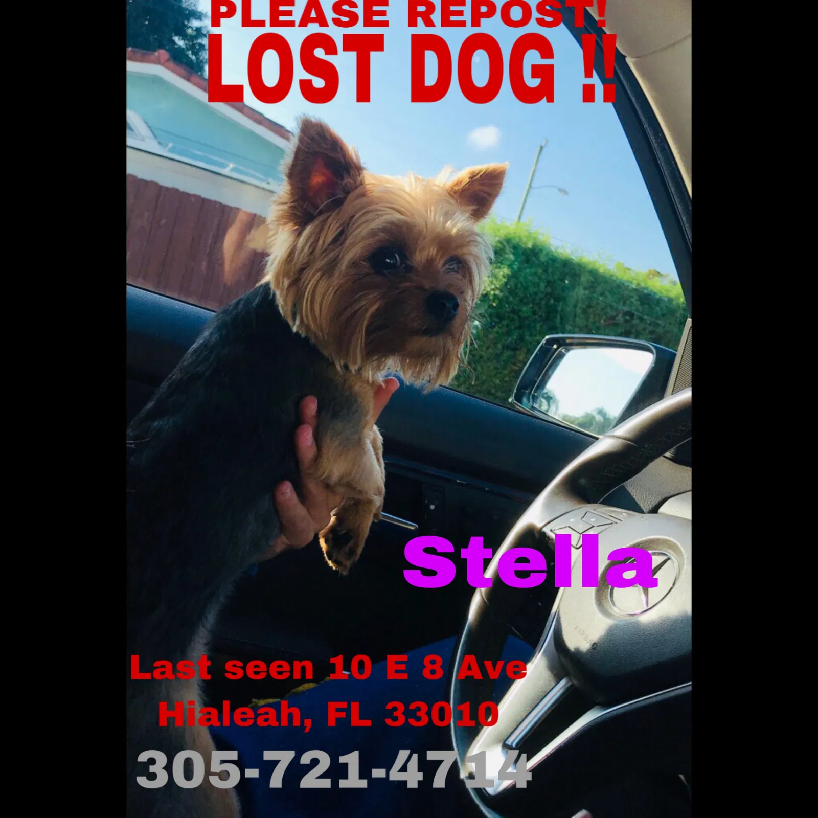 Lost dog in Hialeah, FL, 33010