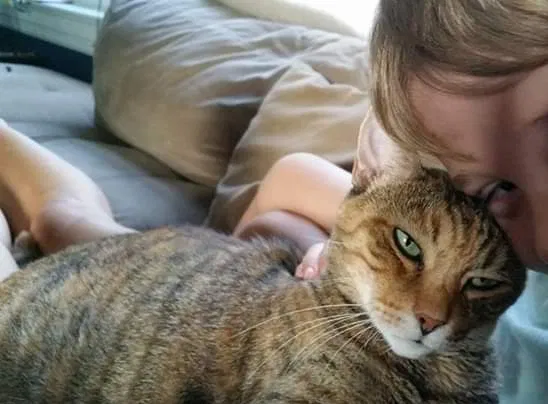 Lost cat in Wilmington, NC, 28405