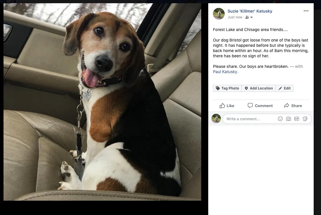 Lost dog in Forest Lake, MN, 55025