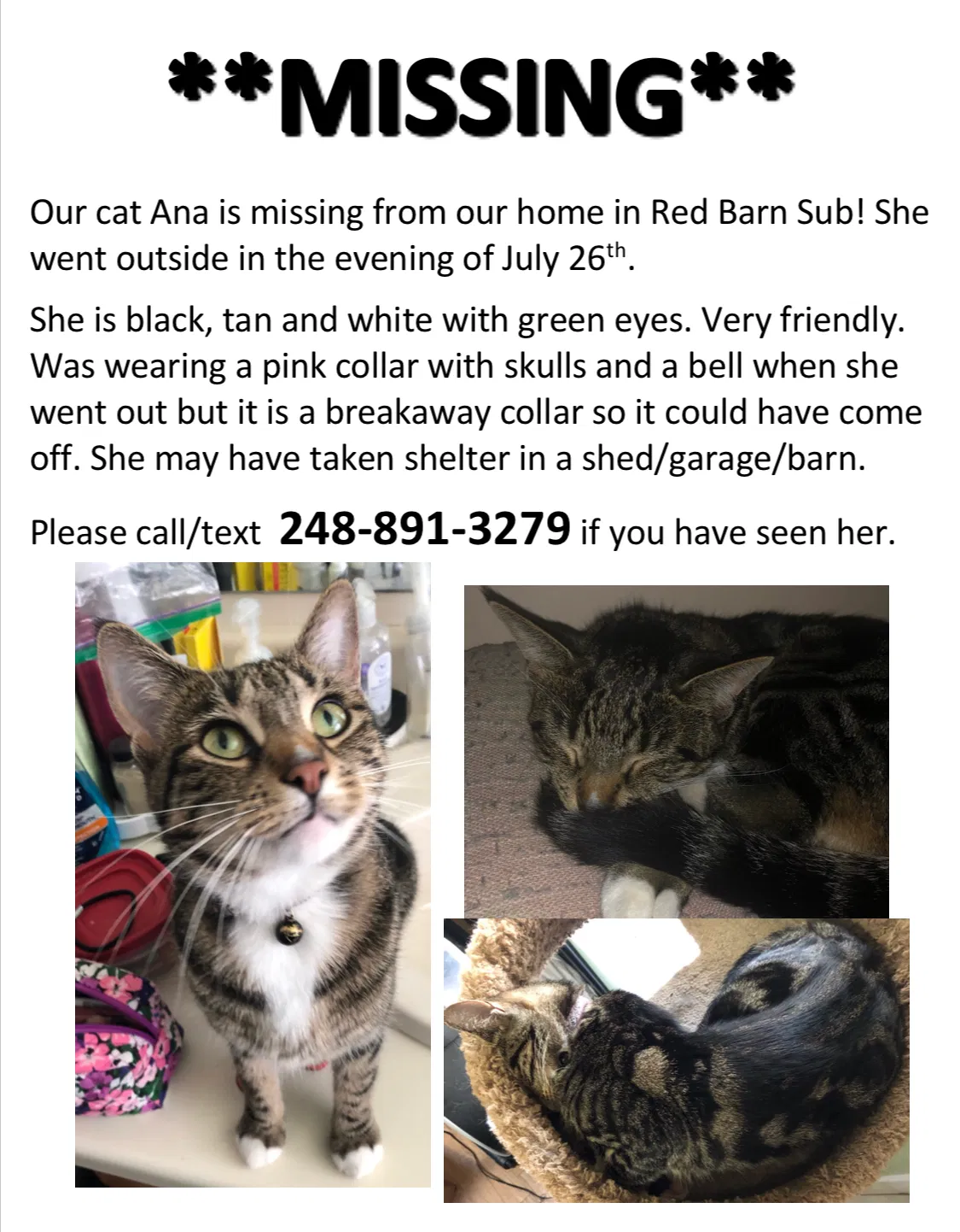 Lost cat in Oxford, MI, 48371