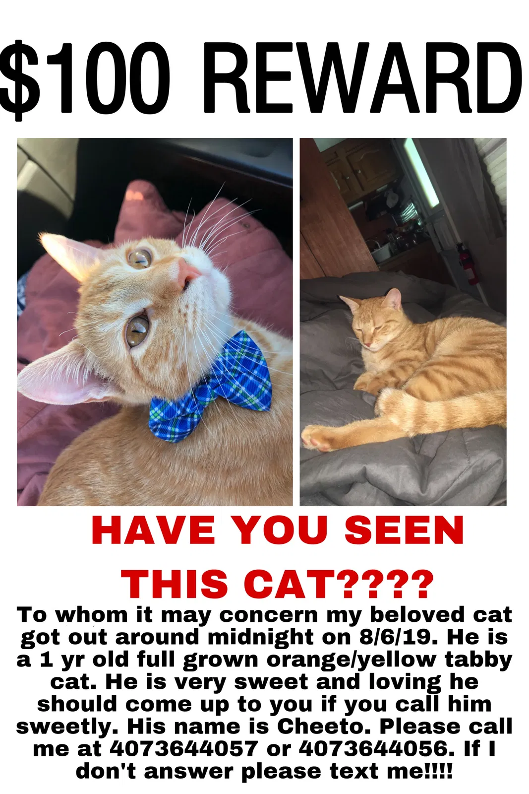 Lost cat in Fayetteville, NC, 28306