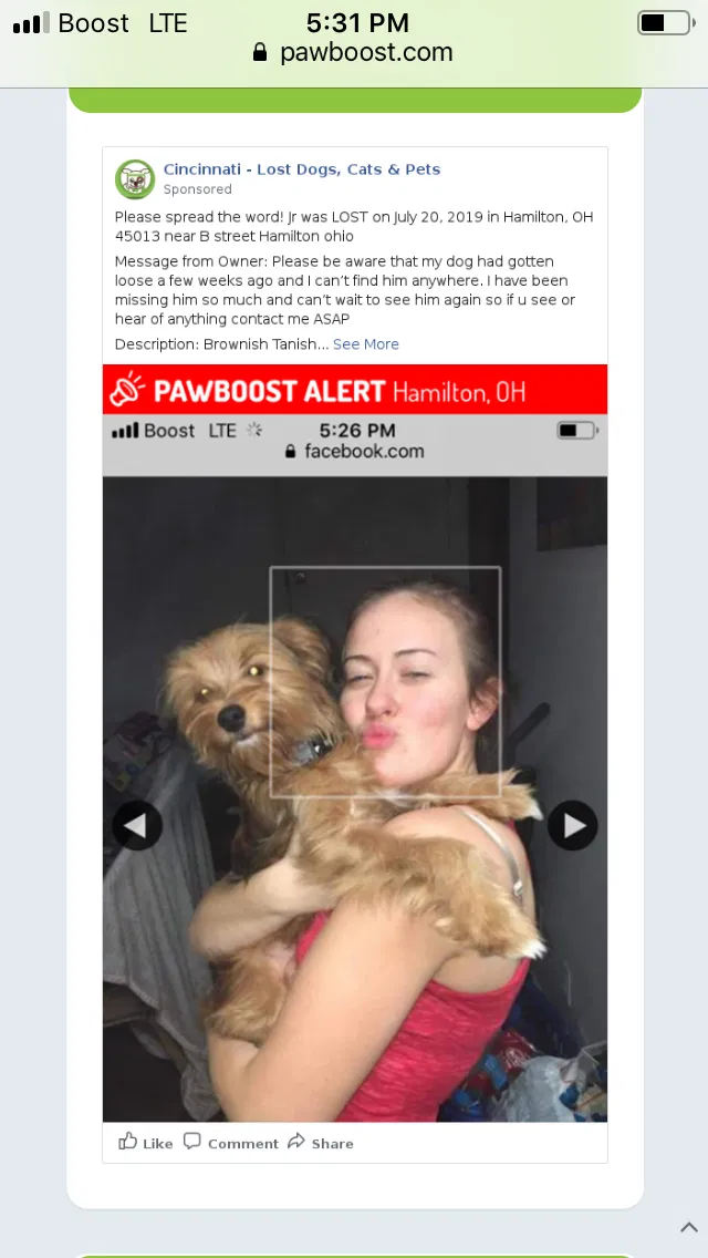 Lost dog in Hamilton, OH, 45013