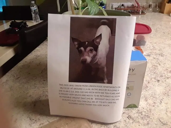 Lost dog in Scottdale, GA, 30079