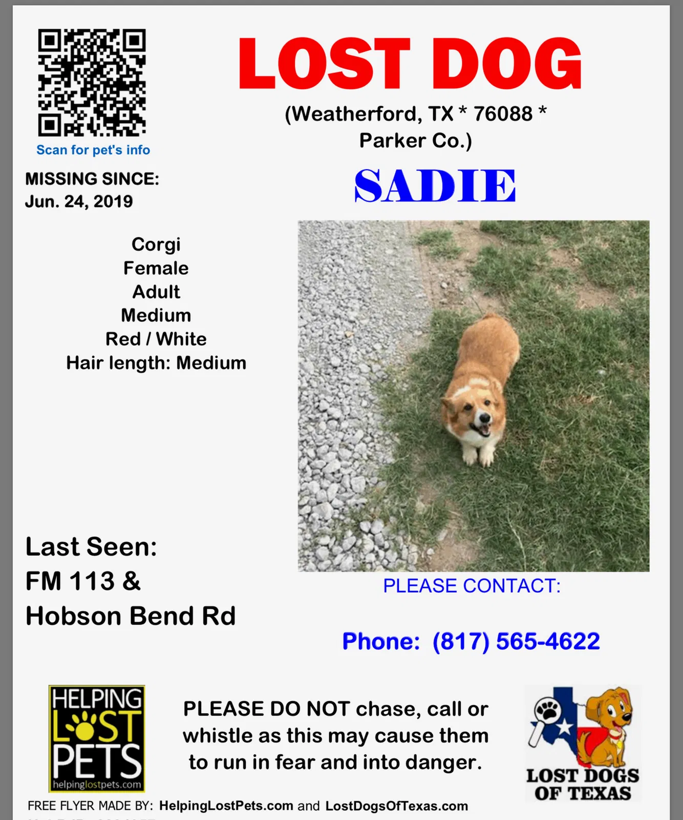 Lost dog in Weatherford, TX, 76086