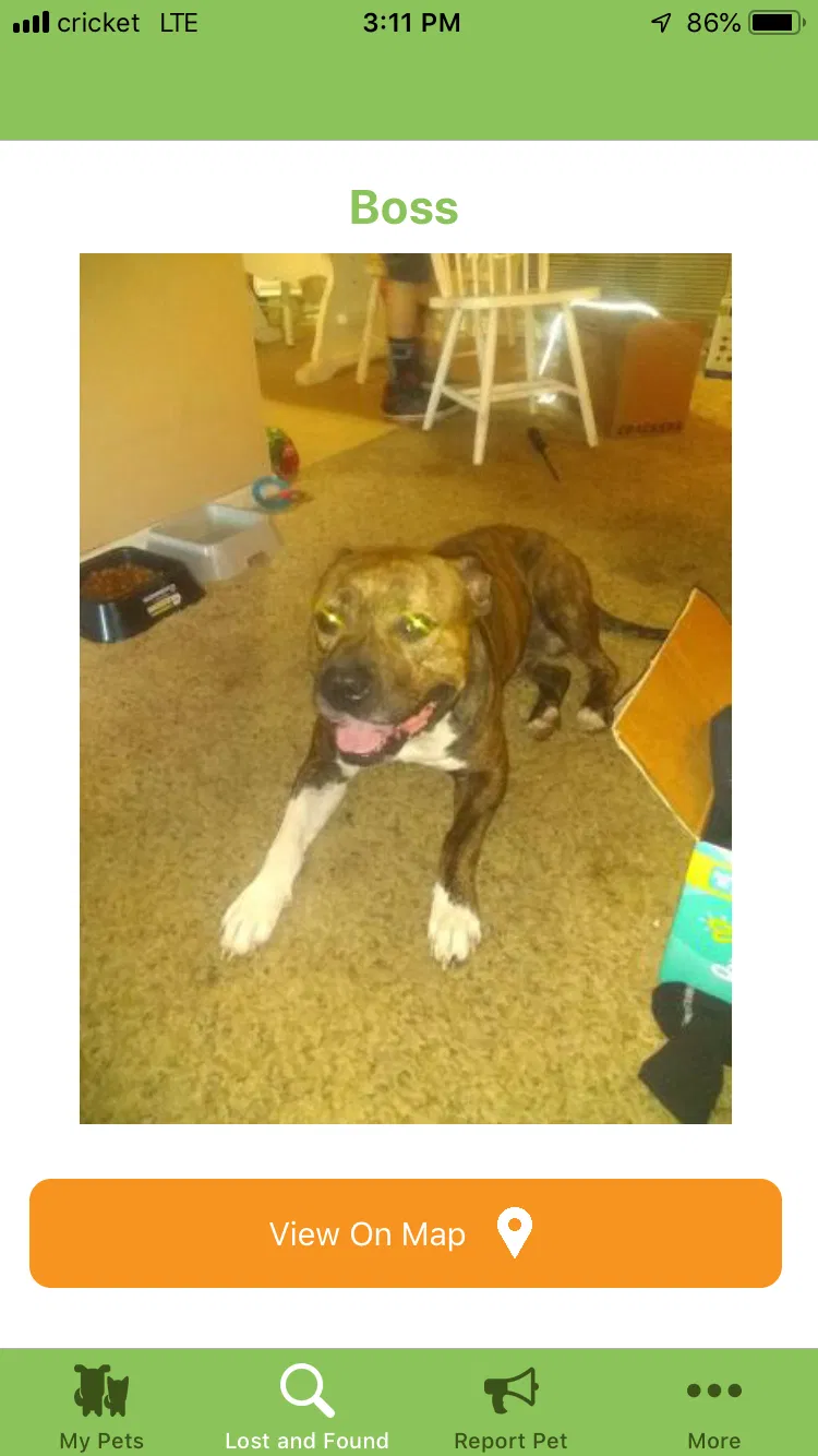 Lost dog in Cedarville, AR, 72932