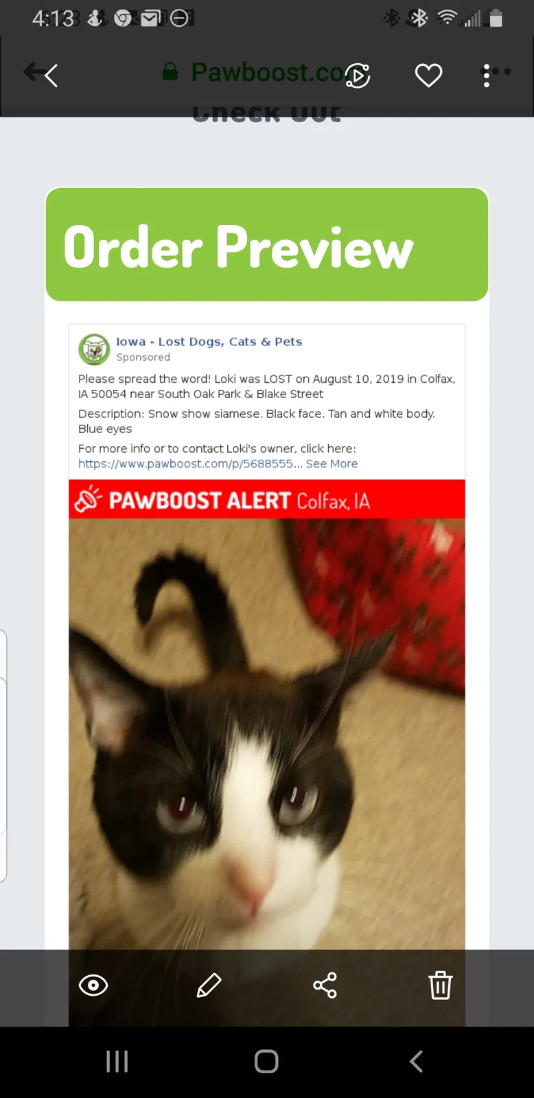 Lost cat in Colfax, IA, 50054
