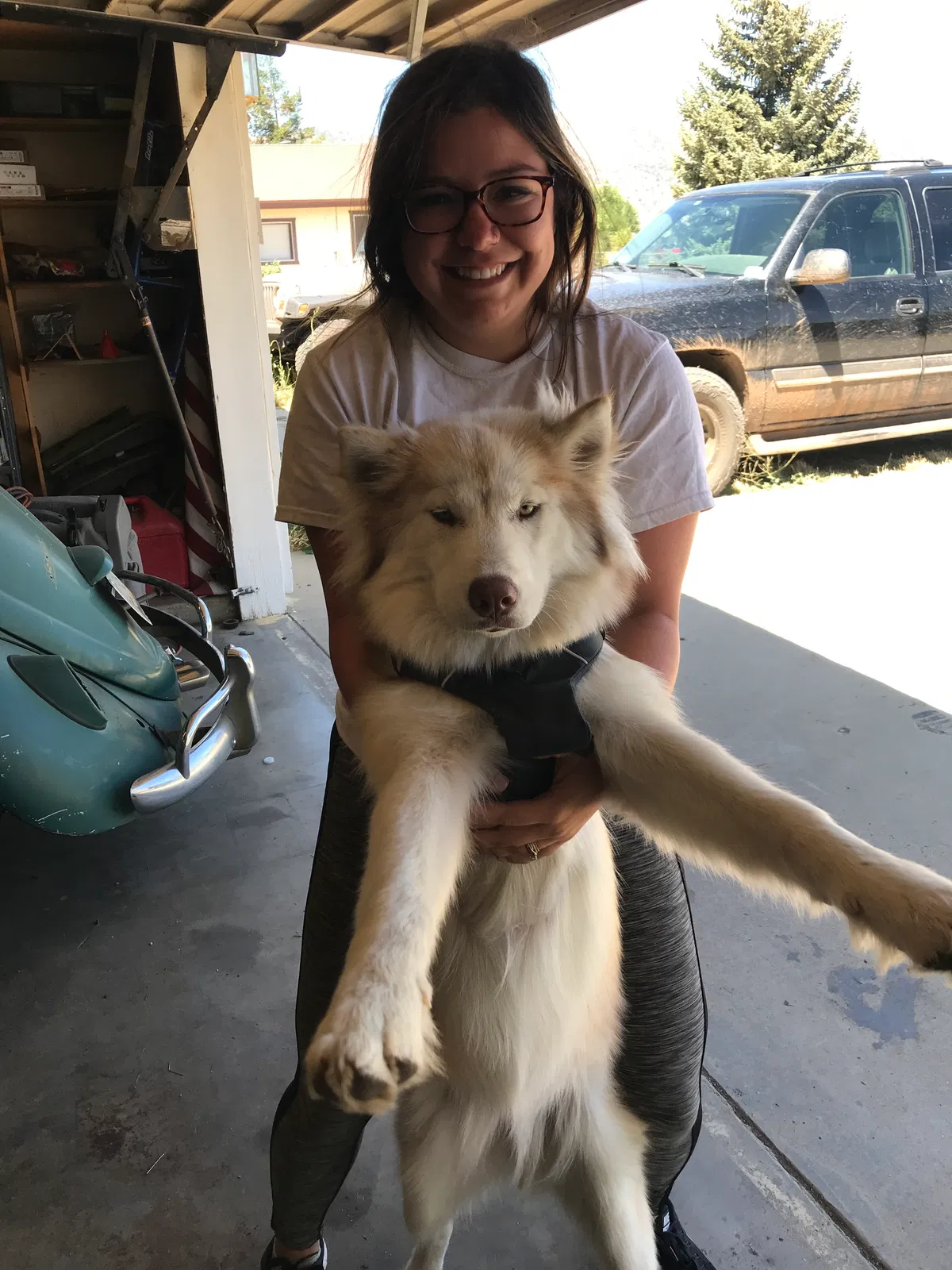 Lost dog in Tehachapi, CA, 93561