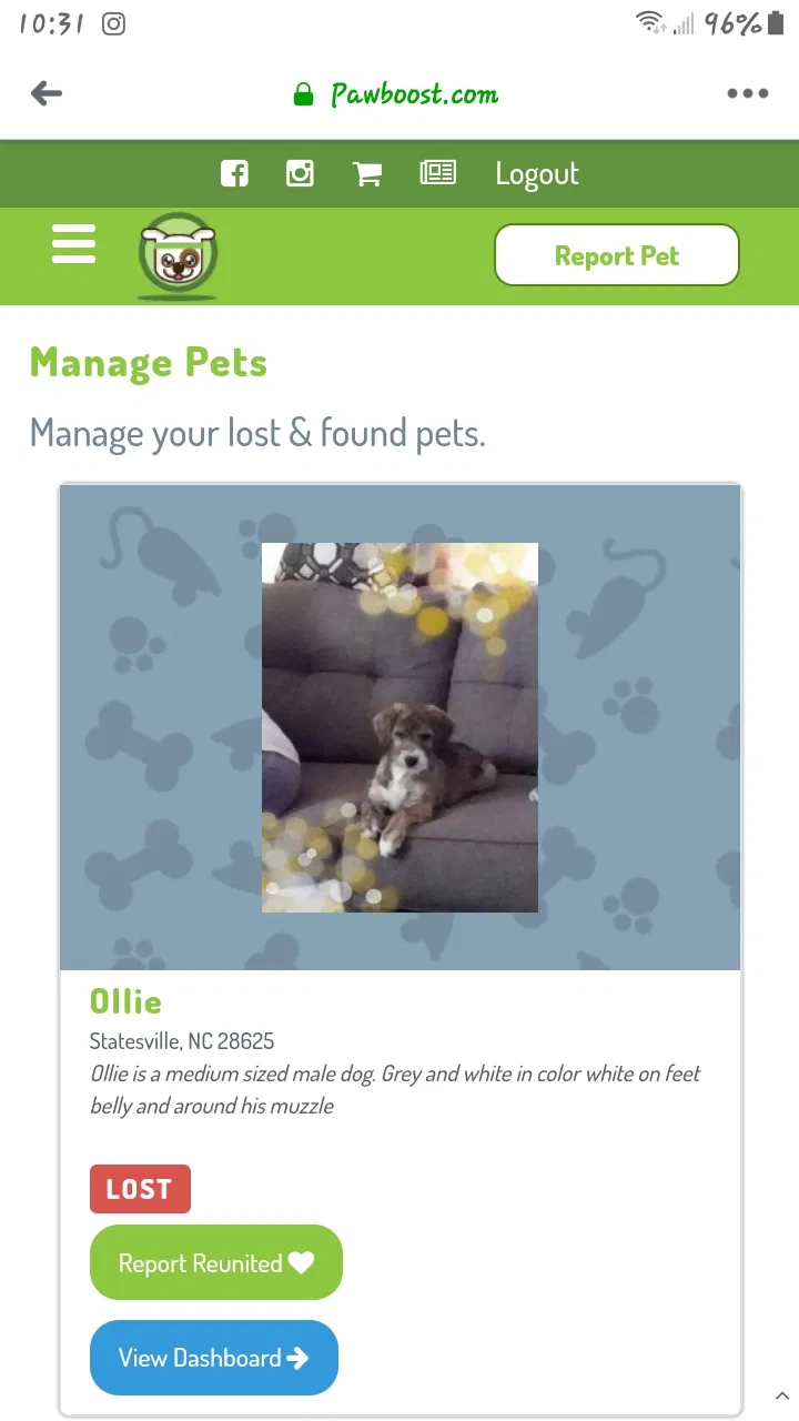 Lost dog in Statesville, NC, 28625
