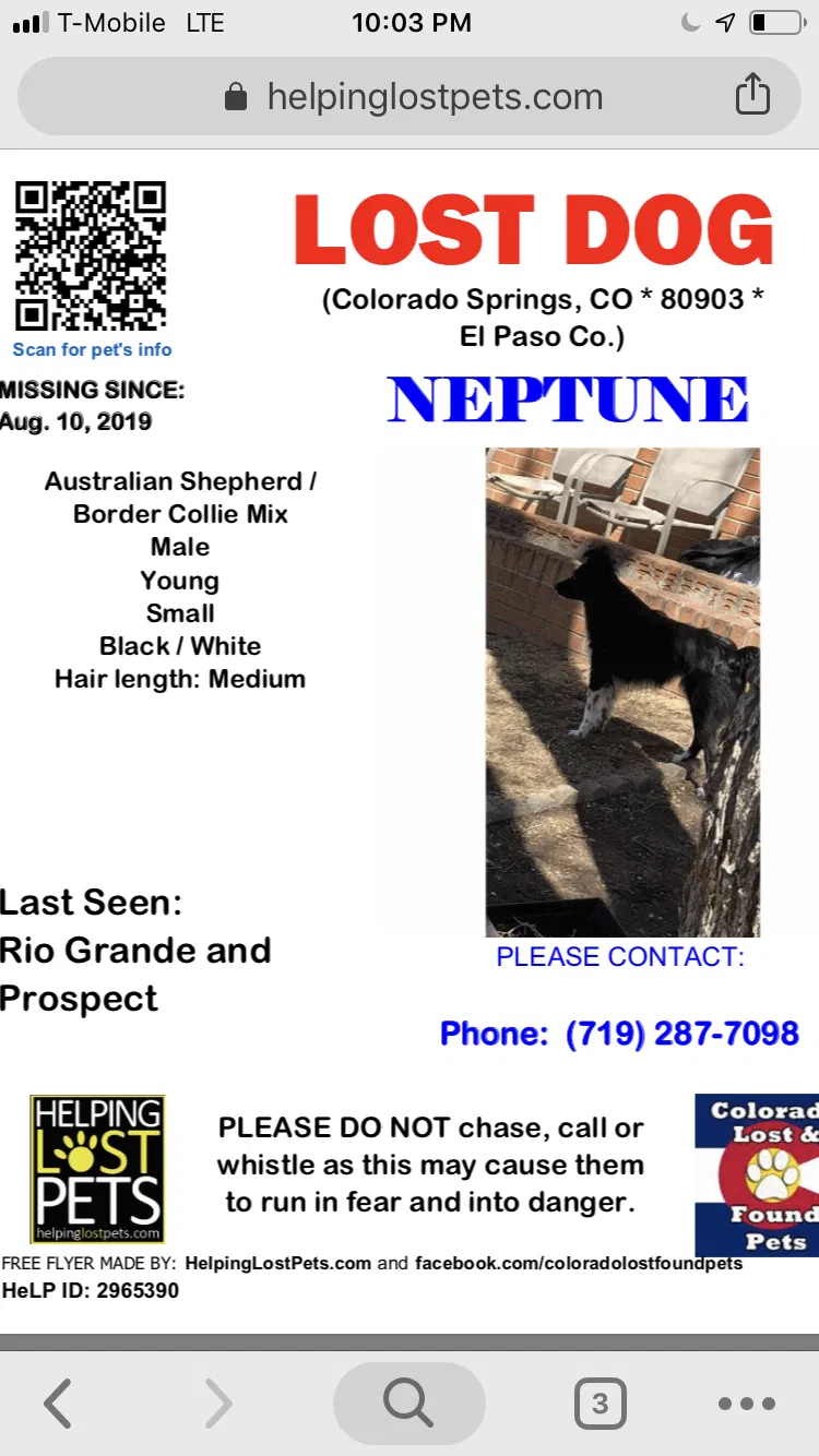 Lost dog in Unknown, CO, 80803