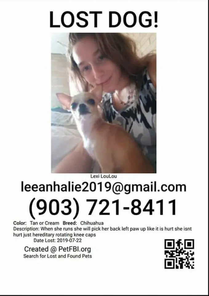Lost dog in Rusk, TX, 75785