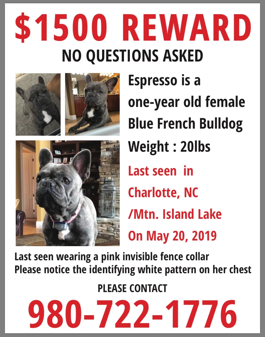 Lost dog in Unknown, NC, 0