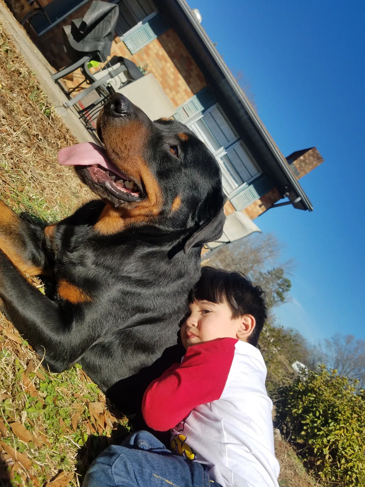 Lost dog in Kannapolis, NC, 28081