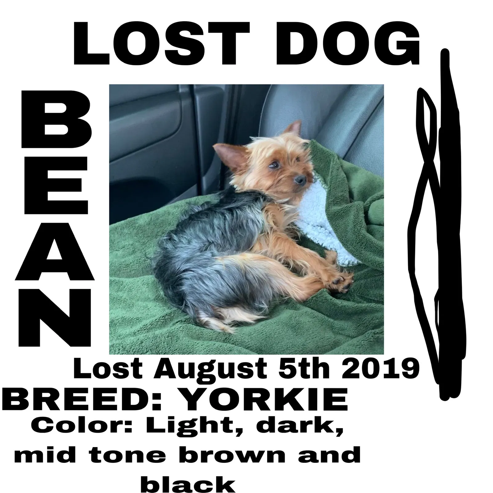 Lost dog in Saint Louis, MO, 63111
