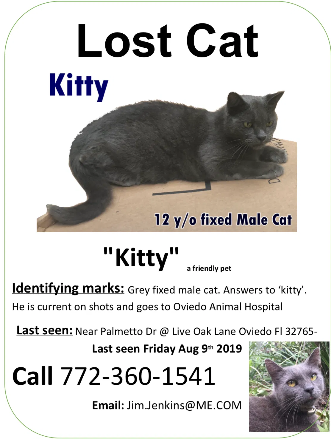 Lost cat in Oviedo, FL, 32765