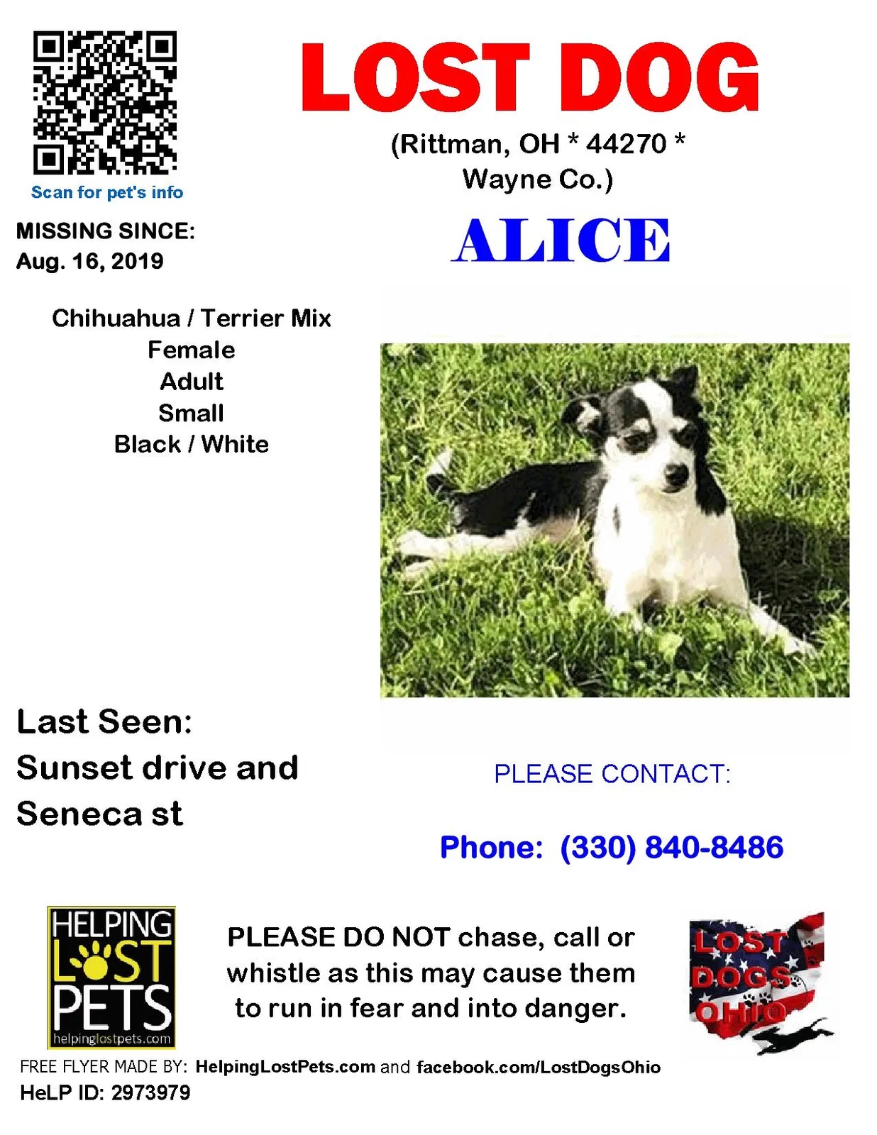 Lost dog in Rittman, OH, 44270