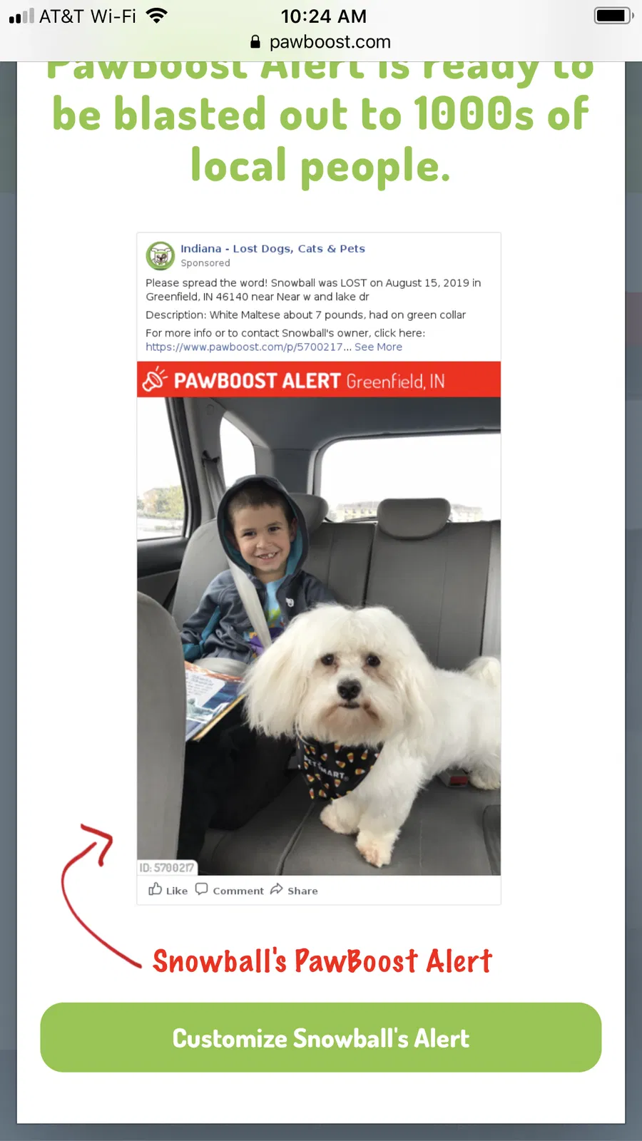 Lost dog in Greenfield, IN, 46140