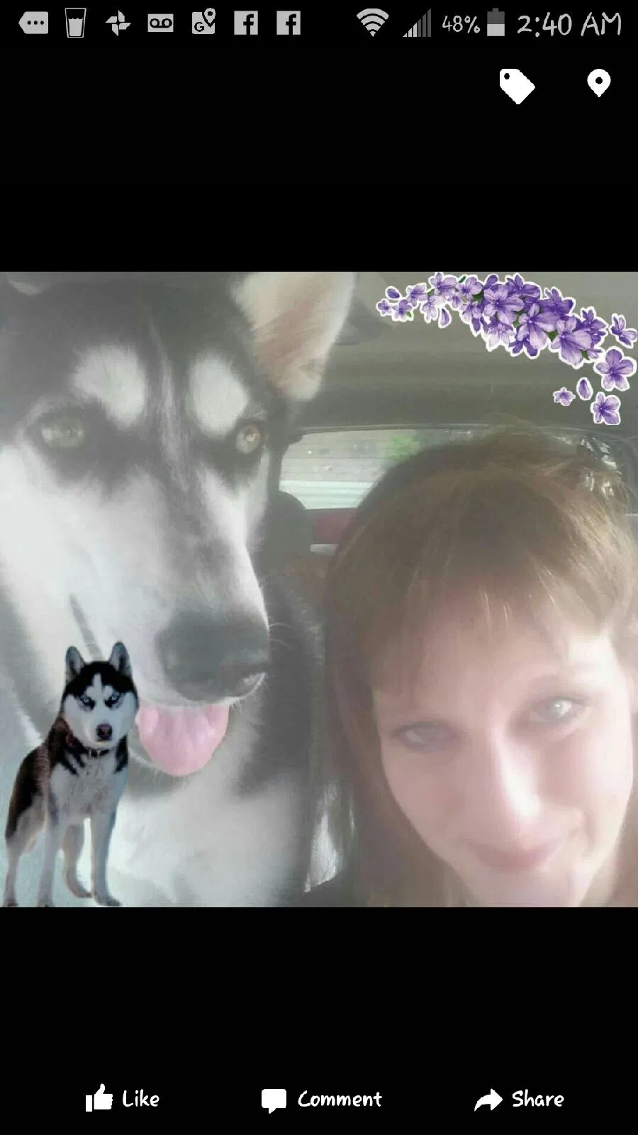 Lost dog in Fowler, CO, 81039