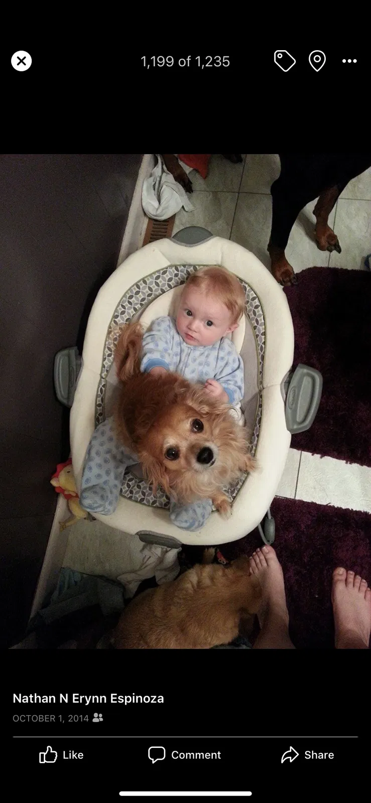 Lost dog in Cheyenne, WY, 82001