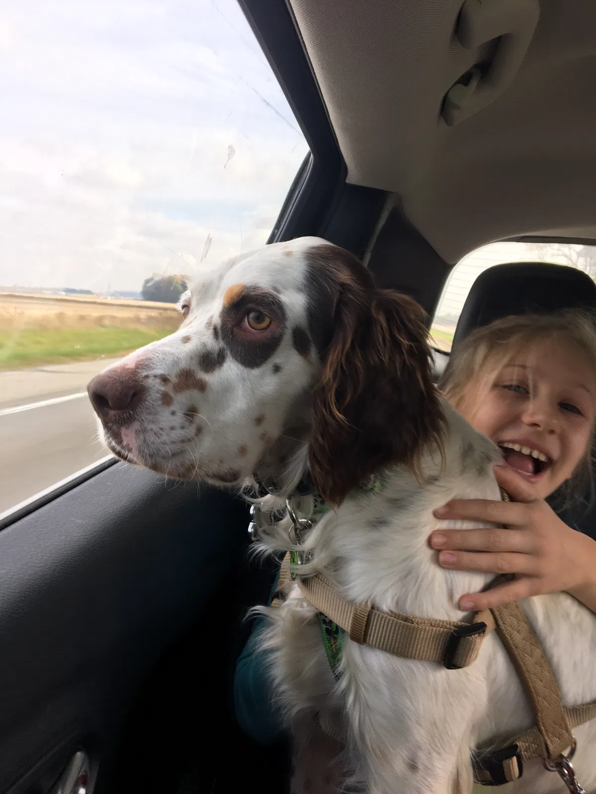Lost dog in Michigan City, IN, 46360