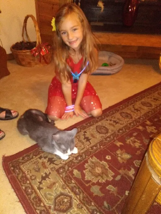 Lost cat in Virginia Beach, VA, 23462