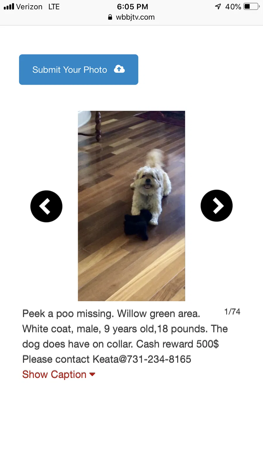 Lost dog in Jackson, TN, 38305