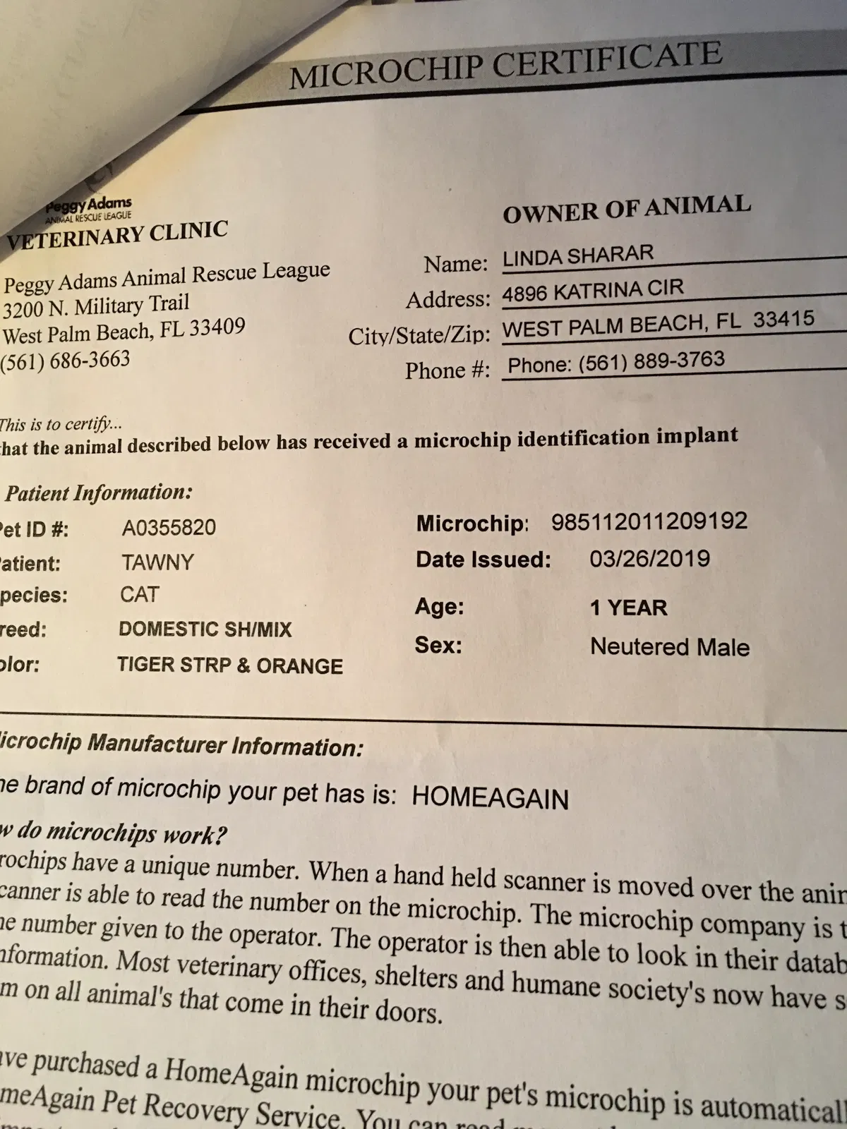 Lost cat in West Palm Beach, FL, 33415