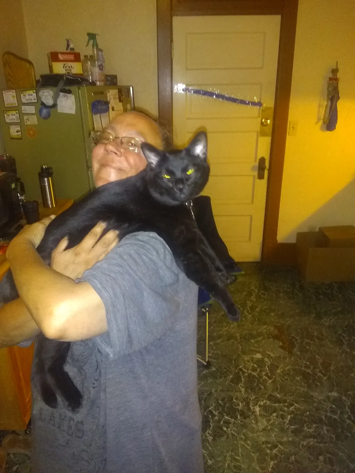 Lost cat in Colorado Springs, CO, 80905
