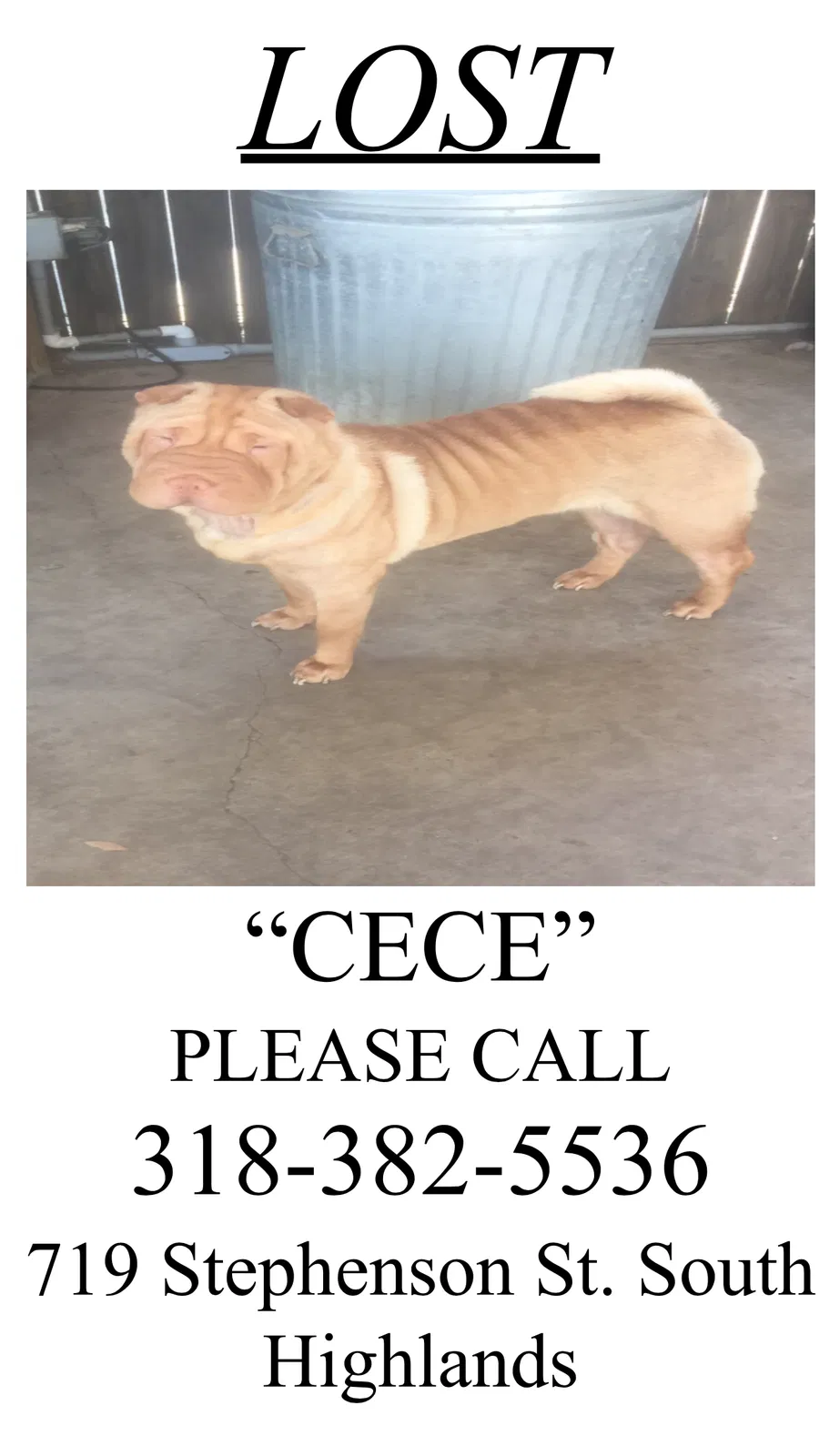 Lost dog in Shreveport, LA, 71104