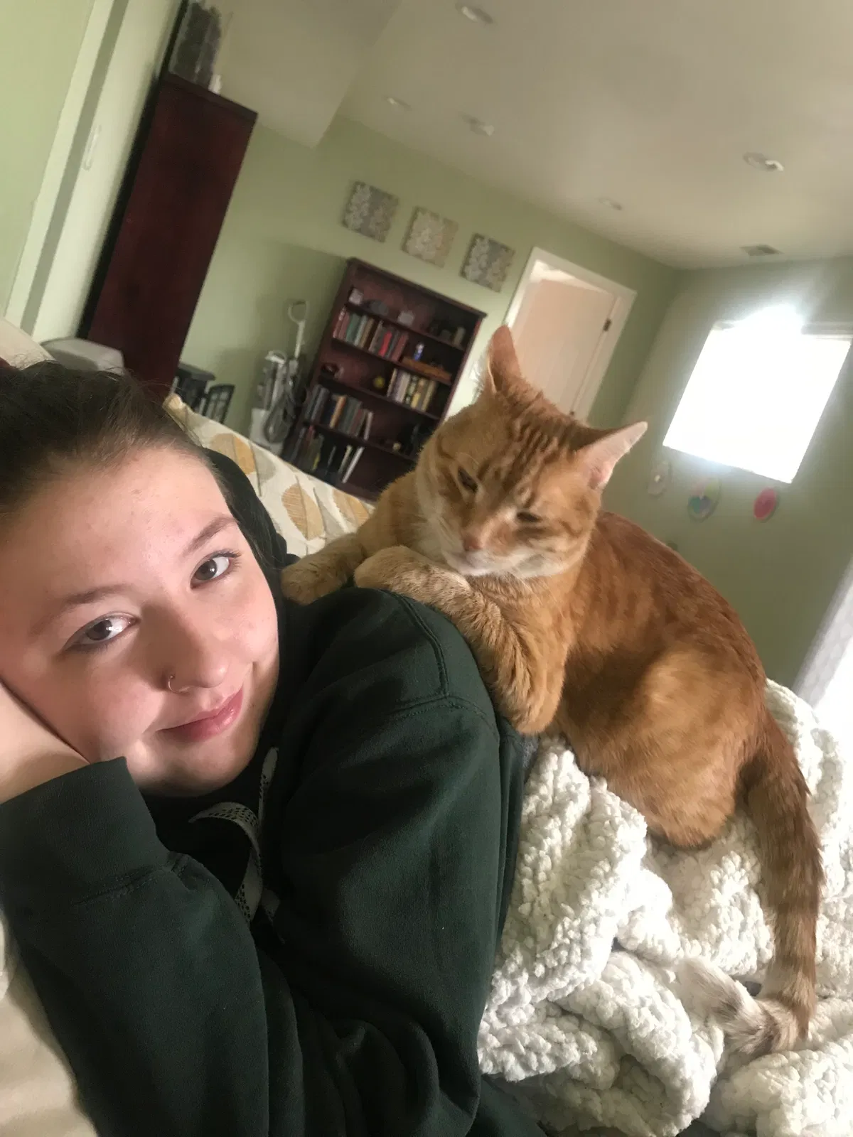 Lost cat in Colorado Springs, CO, 80920