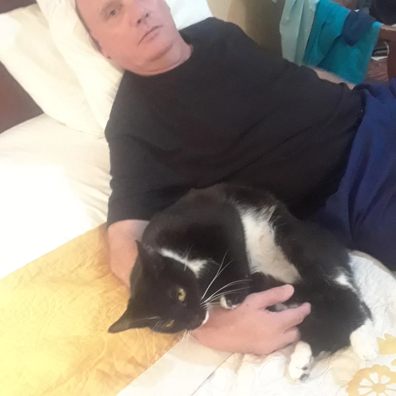 Lost cat in Orlando, FL, 32819