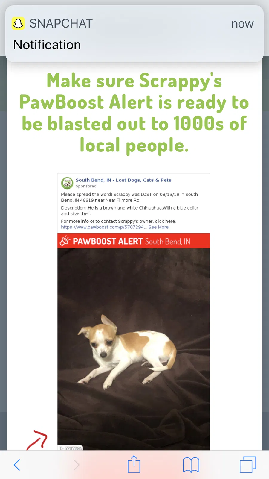 Lost dog in South Bend, IN, 46619
