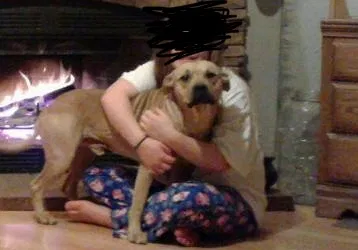 Lost dog in Indian Trail, NC, 28079