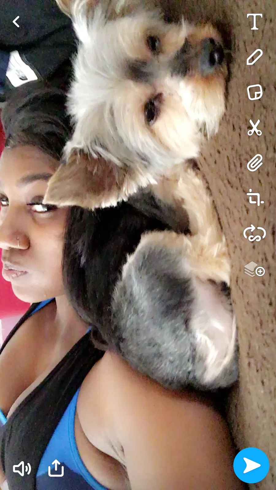 Lost dog in Cleveland, OH, 44104