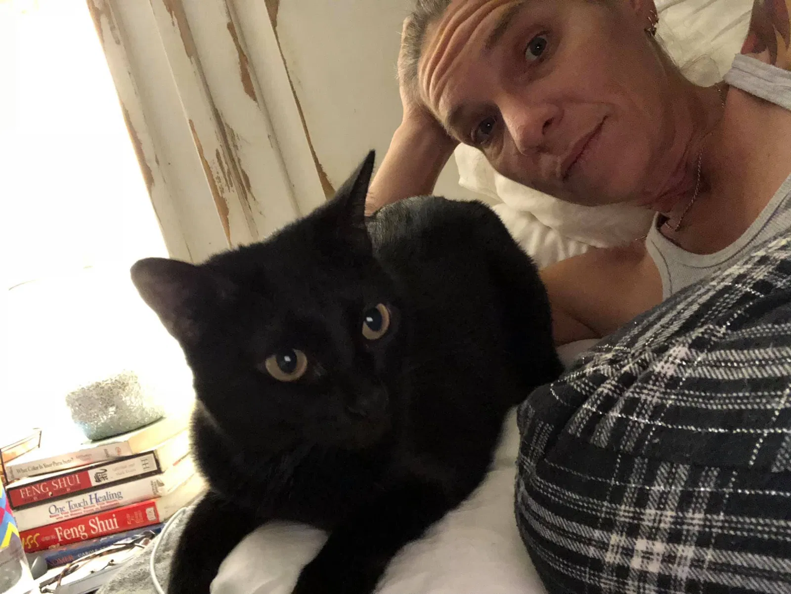 Lost cat in Port Orchard, WA, 98367