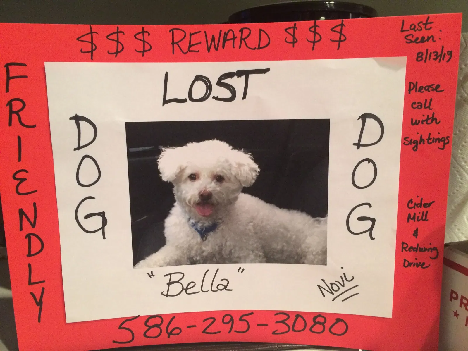 Lost dog in Novi, MI, 48374