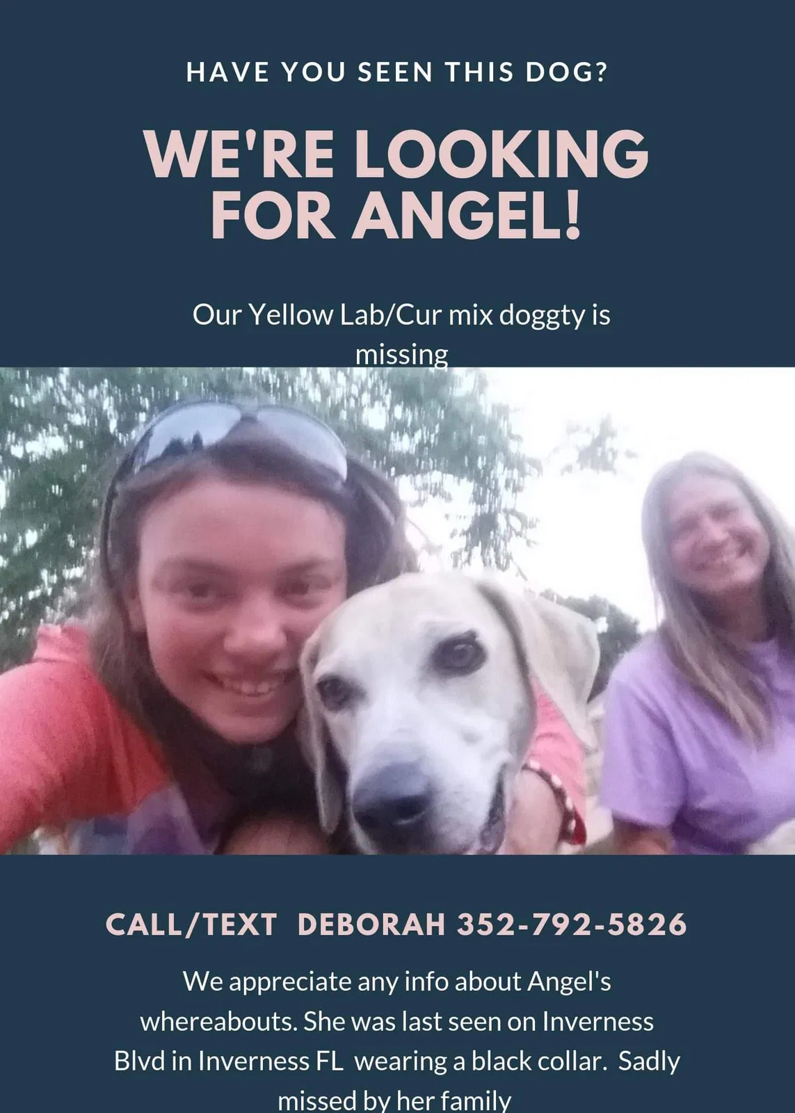 Lost dog in Inverness, FL, 34452
